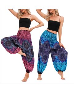 Buddha Stones Casual Loose Compass Pattern Harem Trousers Women's Yoga Pants - Blue-US4-8/10，UK/AU8-12/14，EU36-40/42 (F)
