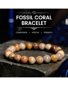 Buddha Stones Fossil Coral Compassion Bracelet - Fossil Coral(Wrist Circumference: 14-16cm) / 9-10mm
