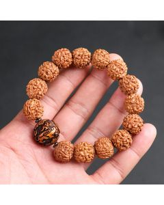 Buddha Stones Tibet Rudraksha Bodhi Seed PiXiu Copper Coin Wealth Luck Bracelet - Rudraksha Bodhi Seed