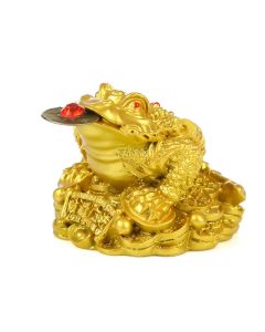 Buddha Stones FengShui Wealth Lucky Frog Decoration - 3