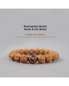 Buddha Stones Tibet Rudraksha Bodhi Seed Dzi Bead Amber Turquoise Wealth Bracelet - 11mm / Rudraksha Bodhi Seed & Cinnabar