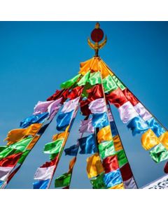 Tibetan 5 Colors Windhorse Blessing Outdoor 20 Pcs Prayer Flag - 7m