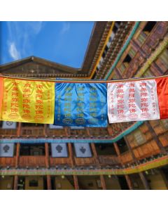 Buddha Stones Tibetan 7 Colors Windhorse Letter Auspicious Lotus Outdoor 21 Pcs Prayer Flag - 7.56m
