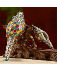 Tibetan Handmade Natural Shankha Colorful Conch Shell Seashell Wealth Home Decoration - Large 15.5*6.5cm
